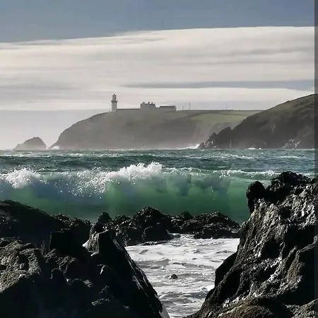 The Carton Store Loft Apt *