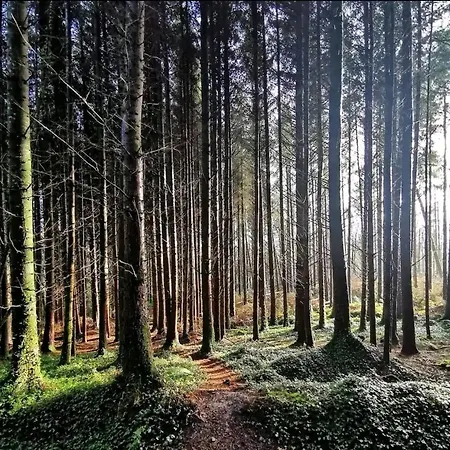 Apartment The Carton Store Loft Apt Cork