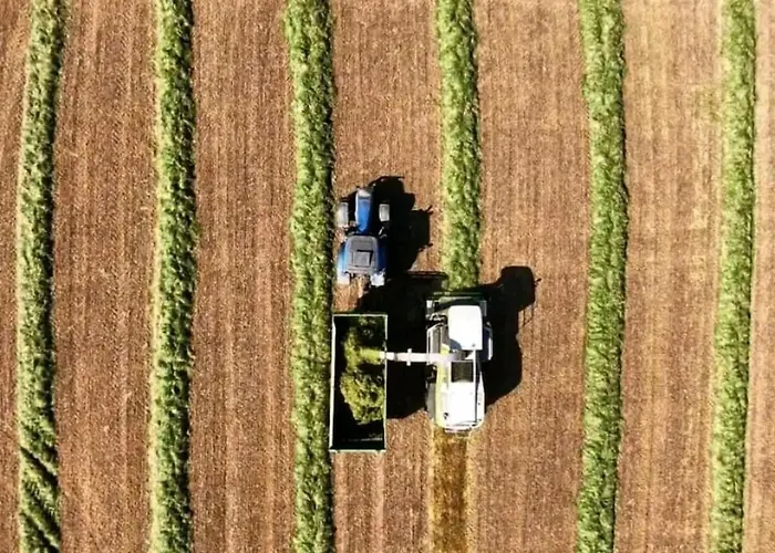 Апартаменты The Carton Store Loft Apt *