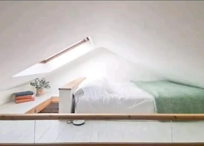 The Carton Store Loft Apt