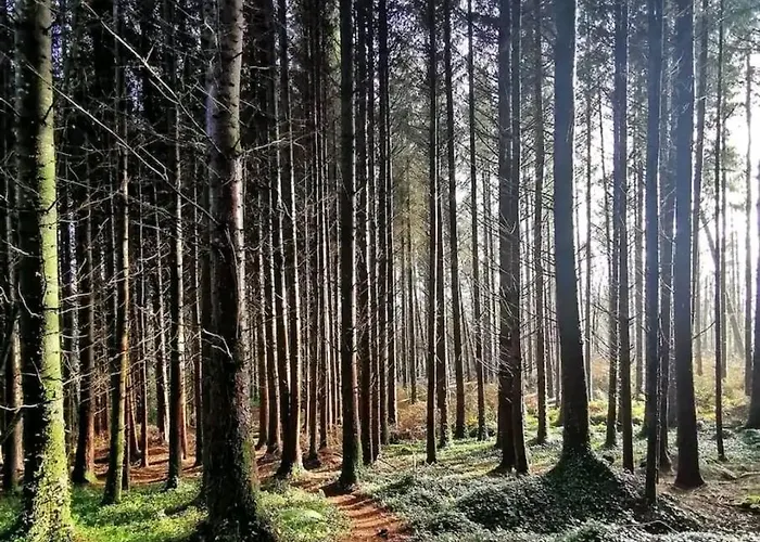 Апартаменты The Carton Store Loft Apt Корк