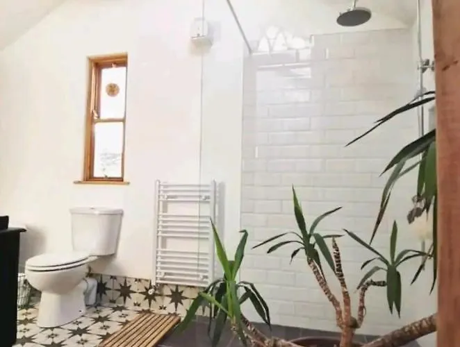 Апартаменты The Carton Store Loft Apt Корк